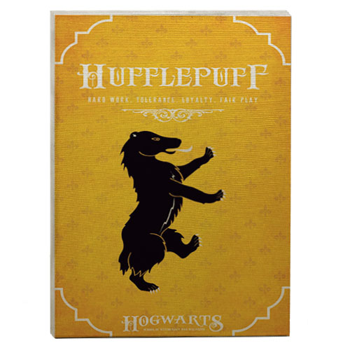 quadro decorativo harry potter