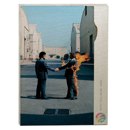 quadro decorativo pink floyd