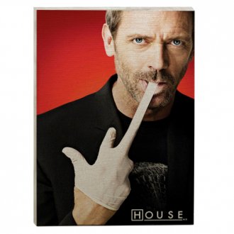 quadro série dr. house