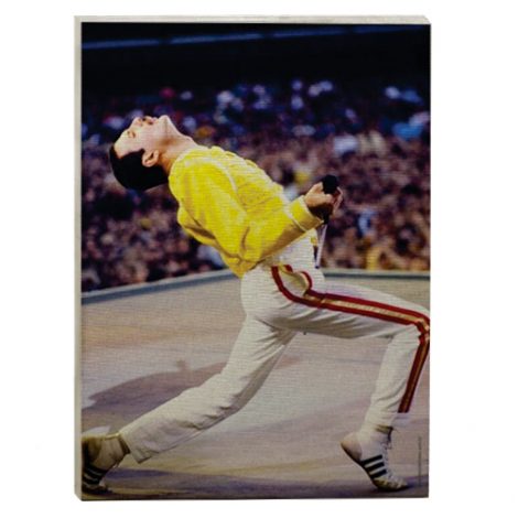 queen freddie mercury