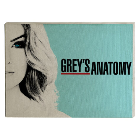 Quadro Gray's Anatomy Meredith